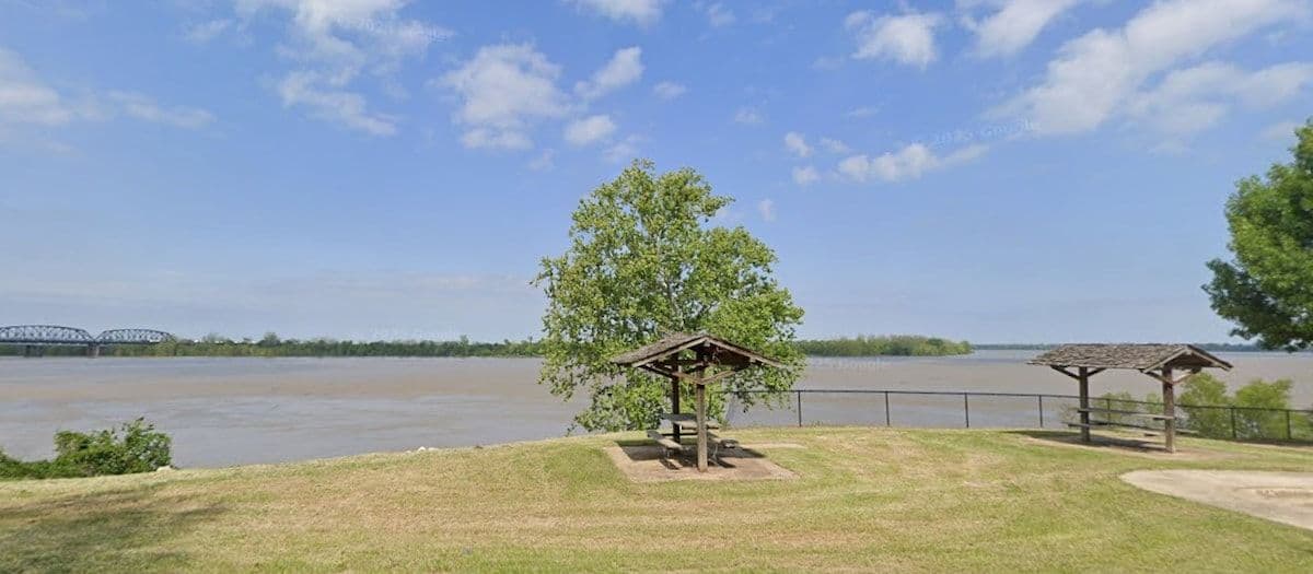 Lone tree and lawn above the river under a blue sky