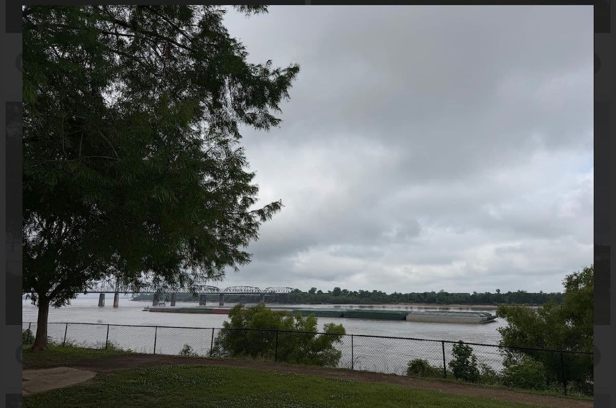 Oak tree, lawn and river under a cloudy sky