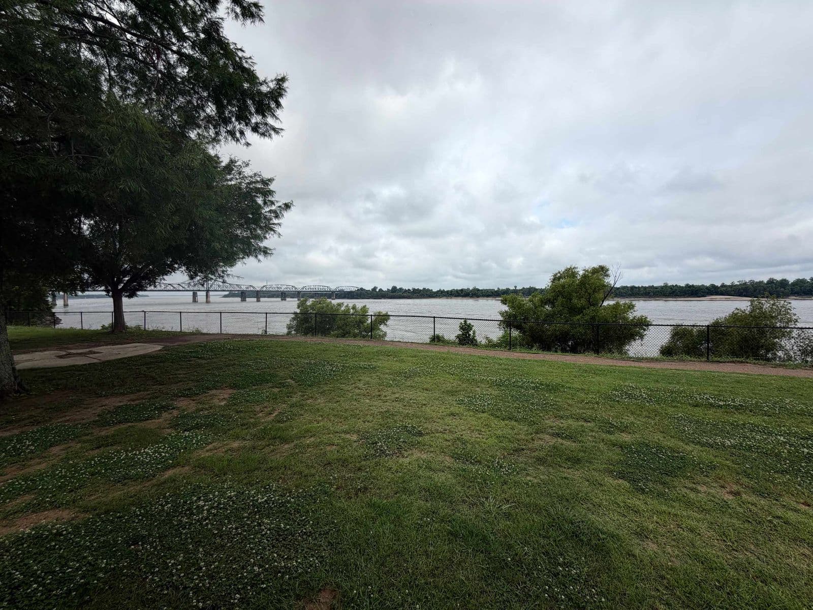 Oak tree and lawn with the river under a cloudy sky