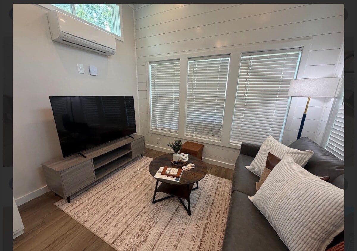 Living room with TV on a console, sofa and rug