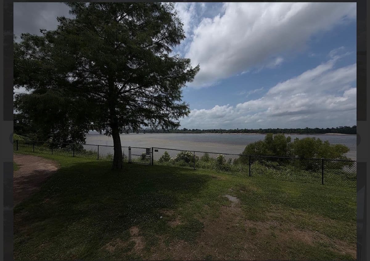 Lone oak and lawn above the river with a big sky